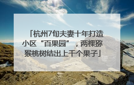 杭州7旬夫妻十年打造小区“百果园”，两棵猕猴桃树结出上千个果子
