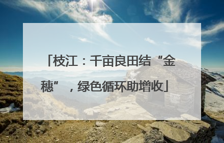 枝江：千亩良田结“金穗”，绿色循环助增收