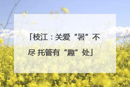 枝江：关爱“暑”不尽 托管有“趣”处