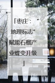 枣庄：“地理标志”赋能石榴产业蝶变升级