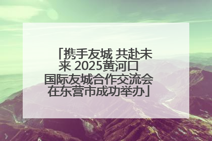 携手友城 共赴未来 2025黄河口国际友城合作交流会在东营市成功举办