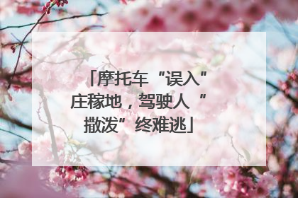 摩托车“误入”庄稼地，驾驶人“撒泼”终难逃