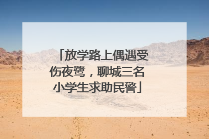 放学路上偶遇受伤夜鹭，聊城三名小学生求助民警