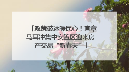 政策破冰暖民心！宜章马耳冲集中安置区迎来房产交易“新春天”