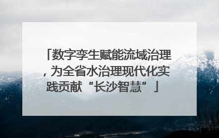 数字孪生赋能流域治理，为全省水治理现代化实践贡献“长沙智慧”