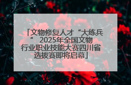 文物修复人才“大练兵” 2025年全国文物行业职业技能大赛四川省选拔赛即将启幕