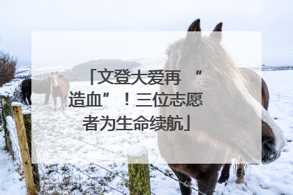 文登大爱再 “造血”！三位志愿者为生命续航