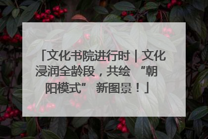 文化书院进行时｜文化浸润全龄段，共绘 “朝阳模式” 新图景！
