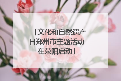 文化和自然遗产日郑州市主题活动在荥阳启动