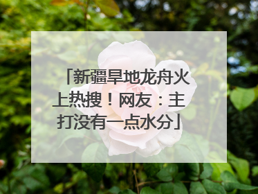 新疆旱地龙舟火上热搜！网友：主打没有一点水分