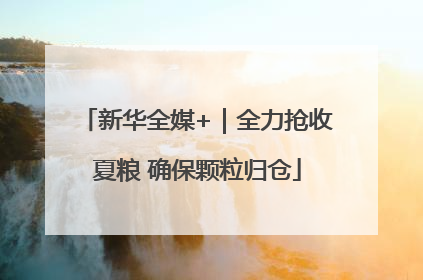 新华全媒+｜全力抢收夏粮 确保颗粒归仓