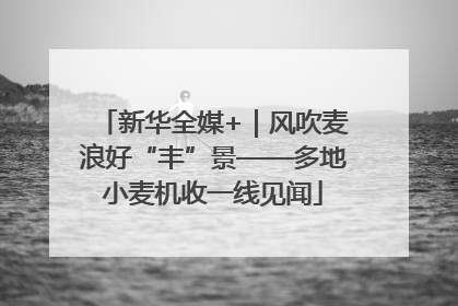 新华全媒+｜风吹麦浪好“丰”景——多地小麦机收一线见闻