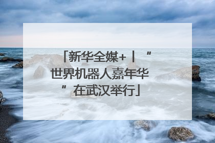 新华全媒+丨“世界机器人嘉年华”在武汉举行