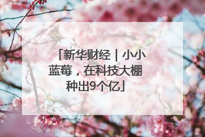 新华财经｜小小蓝莓，在科技大棚种出9个亿