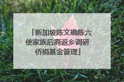 新加坡陈文确陈六使家族后裔返乡调研侨捐基金管理