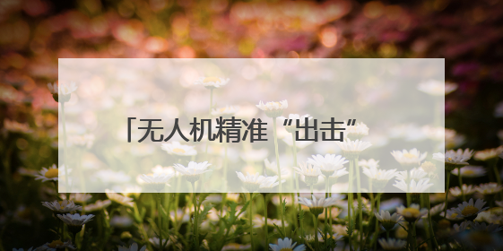 无人机精准“出击” 成功处置闯入厂区野猪