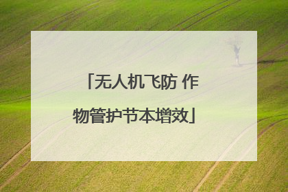 无人机飞防 作物管护节本增效