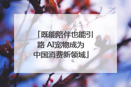 既能陪伴也能引路 AI宠物成为中国消费新领域