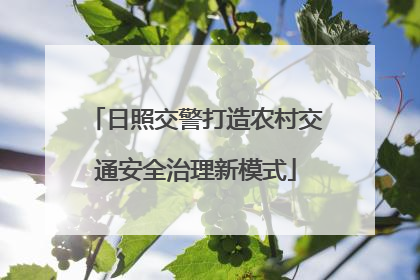 日照交警打造农村交通安全治理新模式