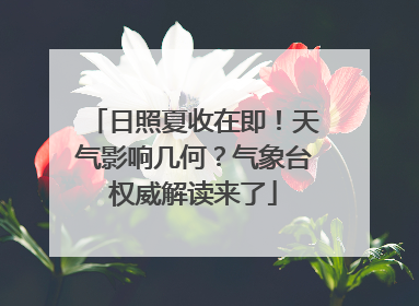 日照夏收在即！天气影响几何？气象台权威解读来了