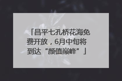 昌平七孔桥花海免费开放，6月中旬将到达“颜值巅峰”