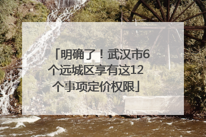 明确了！武汉市6个远城区享有这12个事项定价权限