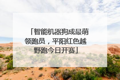 智能机器狗成最萌领跑员，平阳红色越野跑今日开赛