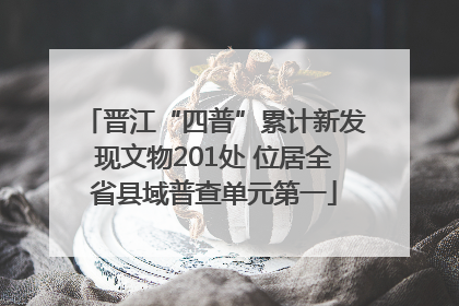 晋江“四普”累计新发现文物201处 位居全省县域普查单元第一