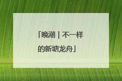 晚潮｜不一样的新塘龙舟