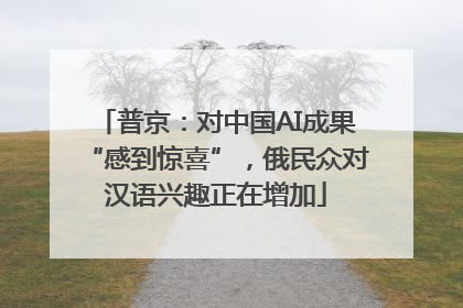 普京：对中国AI成果“感到惊喜”，俄民众对汉语兴趣正在增加