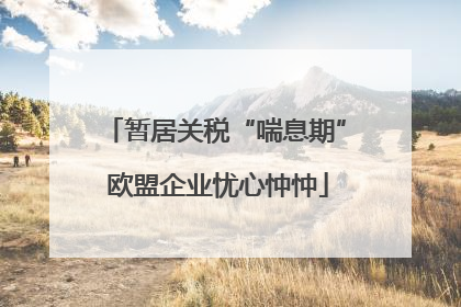 暂居关税“喘息期” 欧盟企业忧心忡忡