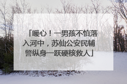 暖心！一男孩不慎落入河中，苏仙公安民辅警纵身一跃硬核救人