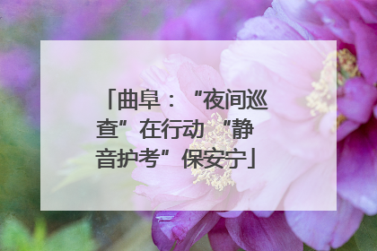曲阜：“夜间巡查”在行动 “静音护考”保安宁