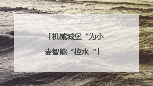 机械城堡“为小麦智能“控水“