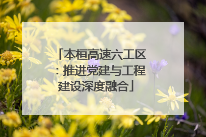 本桓高速六工区：推进党建与工程建设深度融合