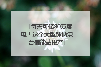 每天可储80万度电！这个大型锂钠混合储能站投产