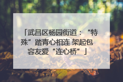 武昌区杨园街道：“特殊”踏青心相连 架起包容友爱“连心桥”