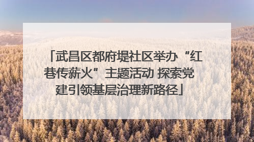 武昌区都府堤社区举办“红巷传薪火”主题活动 探索党建引领基层治理新路径