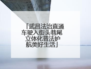 武昌法治直通车驶入街头巷尾 立体化普法护航美好生活