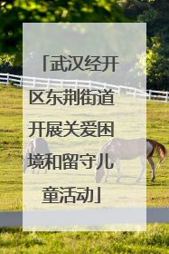 武汉经开区东荆街道开展关爱困境和留守儿童活动