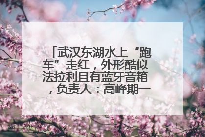 武汉东湖水上“跑车”走红，外形酷似法拉利且有蓝牙音箱，负责人：高峰期一两百人排队