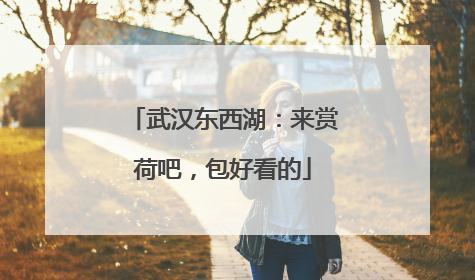 武汉东西湖：来赏荷吧，包好看的