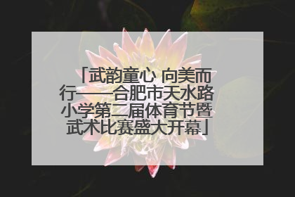 武韵童心 向美而行——合肥市天水路小学第二届体育节暨武术比赛盛大开幕