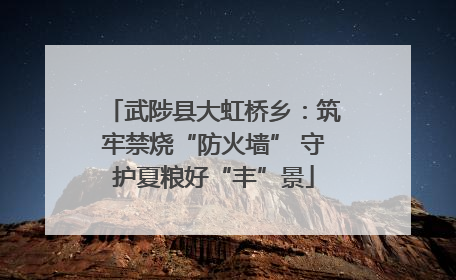 武陟县大虹桥乡：筑牢禁烧“防火墙” 守护夏粮好“丰”景