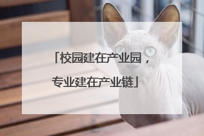 校园建在产业园，专业建在产业链