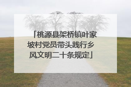 桃源县架桥镇叶家坡村党员带头践行乡风文明二十条规定