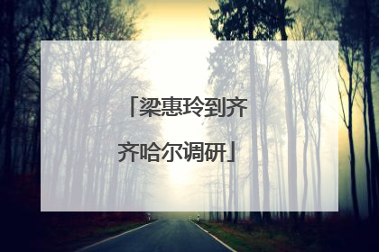 梁惠玲到齐齐哈尔调研