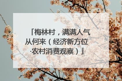 梅林村，满满人气从何来（经济新方位·农村消费观察）
