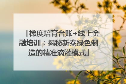 梯度培育台账+线上金融培训：揭秘新泰绿色制造的精准滴灌模式