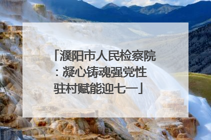 濮阳市人民检察院：凝心铸魂强党性 驻村赋能迎七一